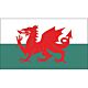 Σημαία Αγγλίας 'Wales' 45 x 90cm
